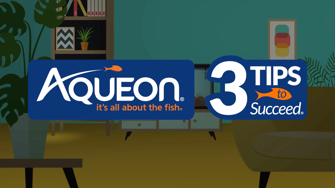 Aqueon Logo - Aqueon Fish Aquarium Starter Kit LED, 10 gallon