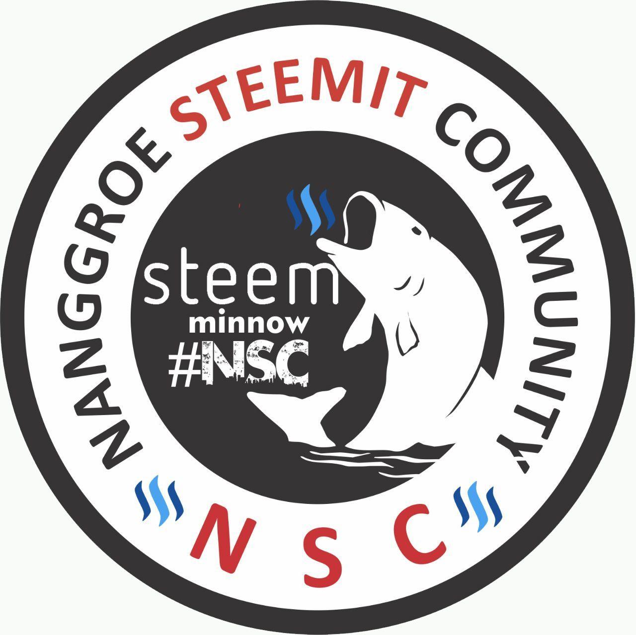 NSC Logo - The NSC logo is the Community Identity of the Nangggroe Steemit