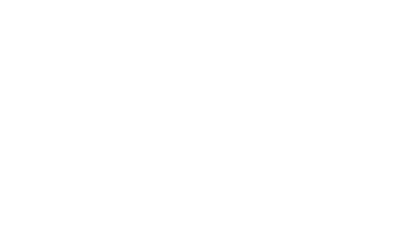 Paladin Logo - Paladin Sports - New Zealand