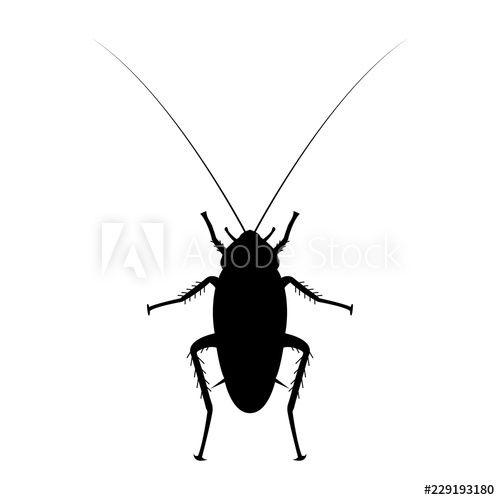 Cockroach Logo - cockroach logo icon design vector - Buy this stock vector and ...