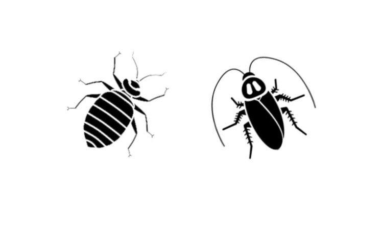 Cockroach Logo - Pest Control Services | Cockroach & Bed Bugs Control Service - Chennai