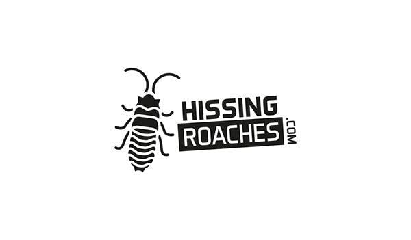 Cockroach Logo - Roaches Logo Marks on Behance