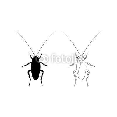 Cockroach Logo - cockroach logo icon design vector | Buy Photos | AP Images | DetailView