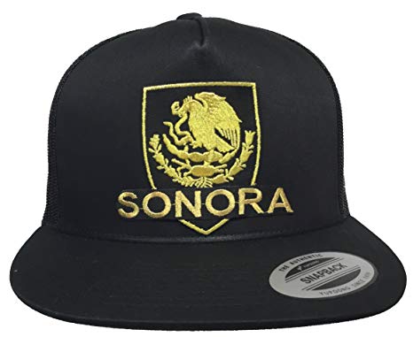 Sonora Logo - Mexico Sonora Logo Federal New Logo Hat Black mesh at Amazon Men's ...