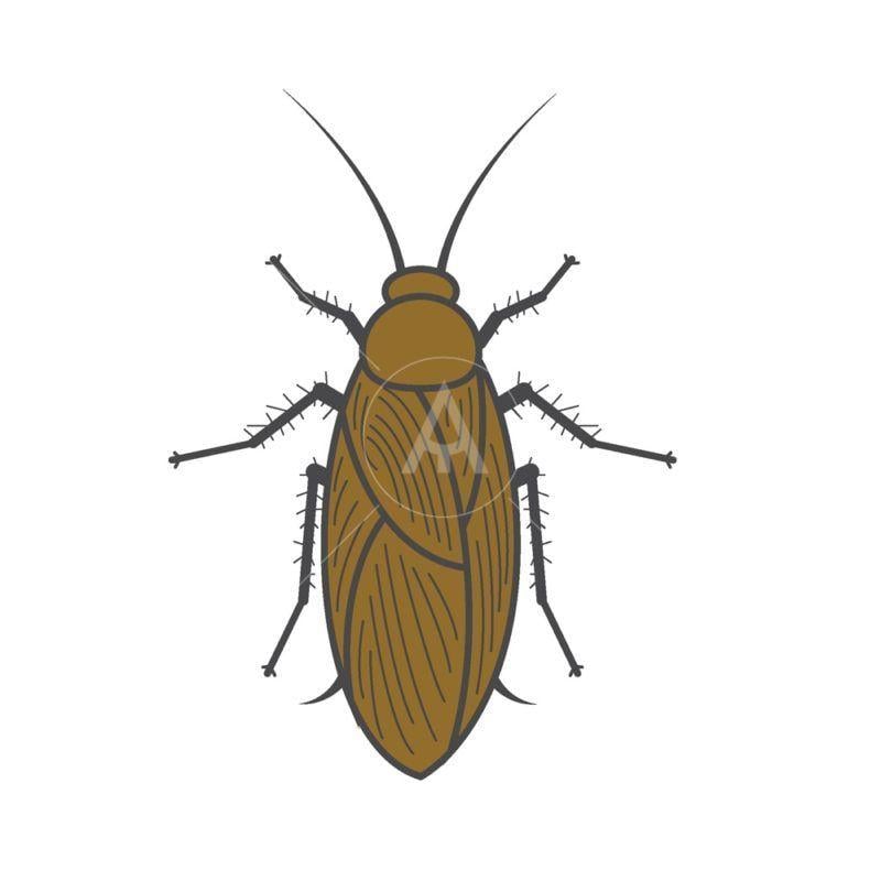 Cockroach Logo - Cockroach | Vector | Logos design, Ninja logo, Cat logo