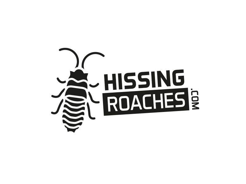 Cockroach Logo - Hissing Roach Logo by Neil Burnell on Dribbble