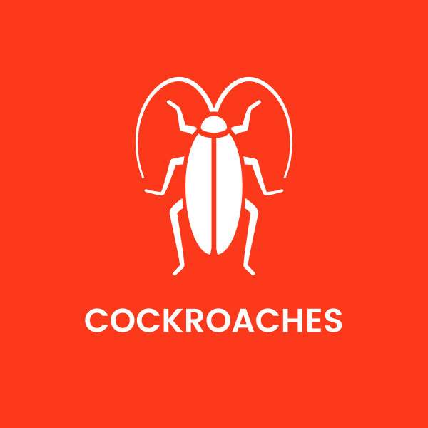 Cockroach Logo - Texas Cockroaches