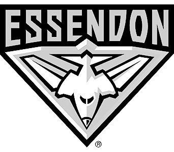 Essendon Logo - HERALD SUN TRIBUTES | Laser cutting images | Essendon football club ...