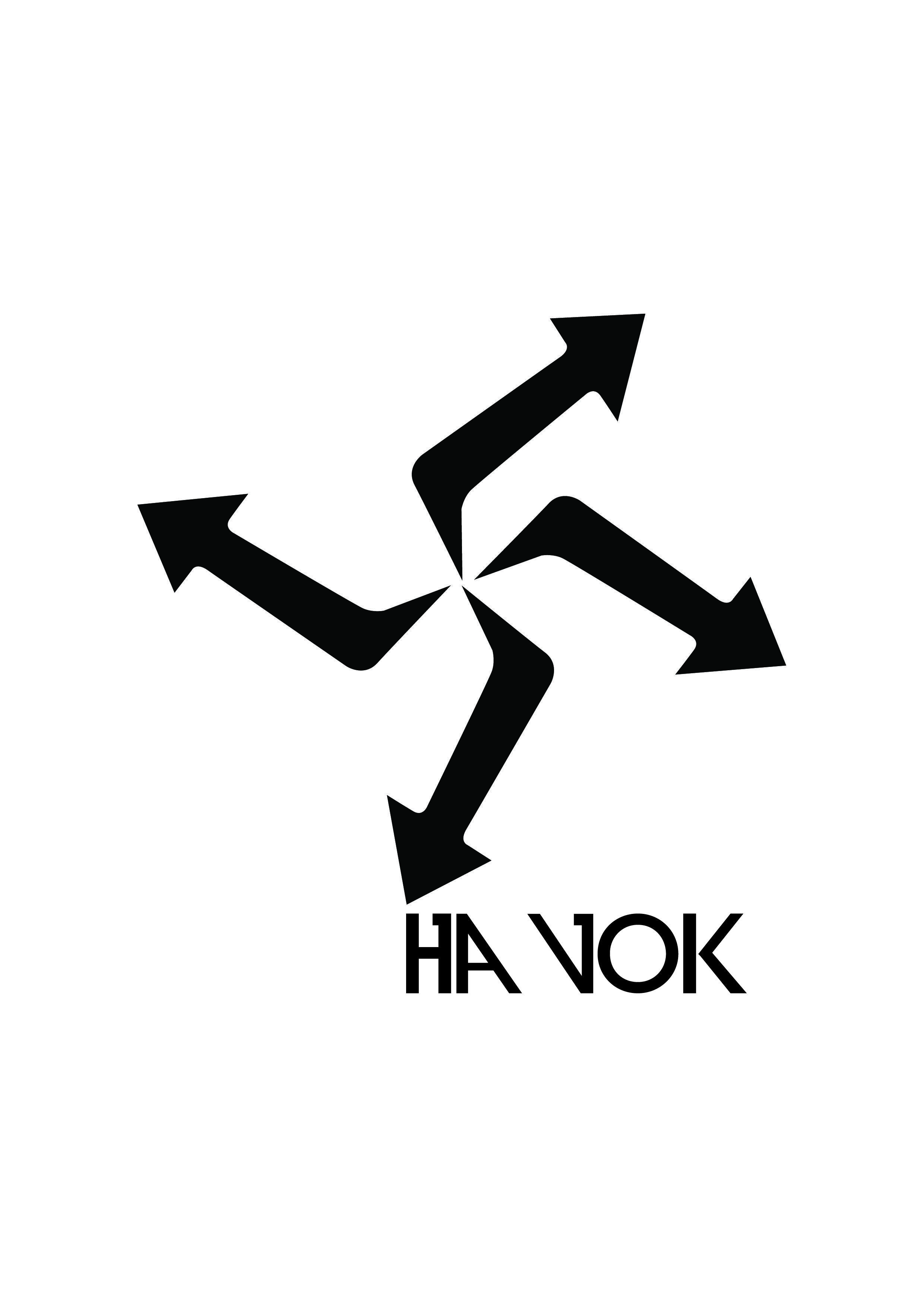 Havok Logo - Havok Logo