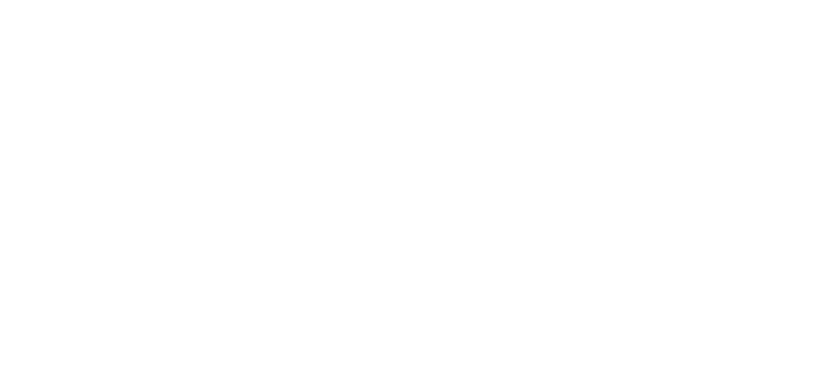 Boomi Logo - Dell Boomi Engages Long Tail Customers With A Human Touch