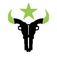 Outlaws Logo - Houston Outlaws