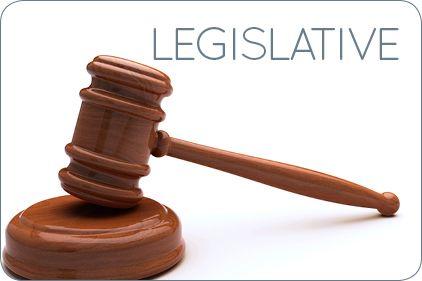 Legislative Logo - Regulations & Legislation: Resolutions for the next decade