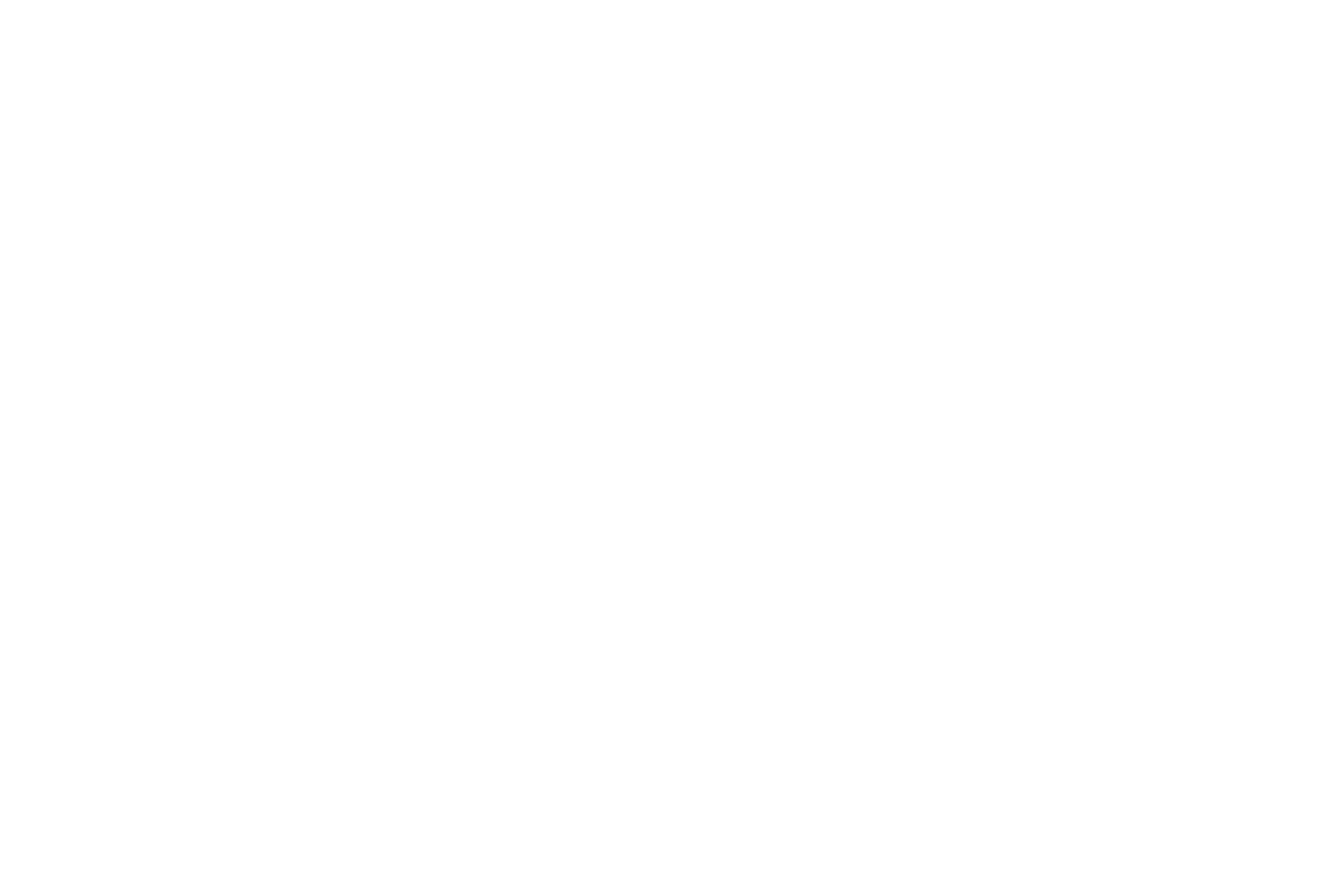 Areospace Logo - Home - Vertex Aerospace