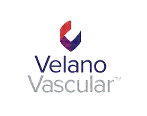 VV Logo - VV logo vertical
