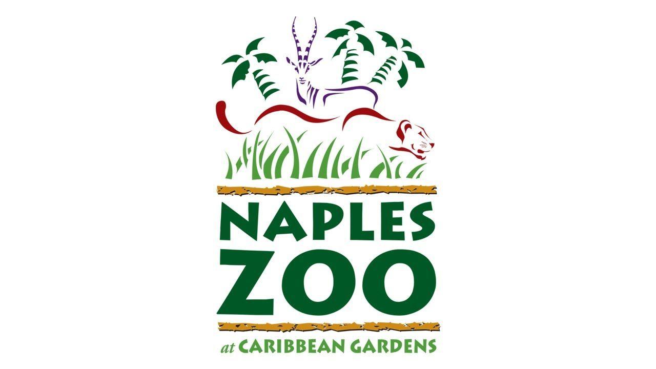 Zoo Logo - naples zoo logo Child Care Resources