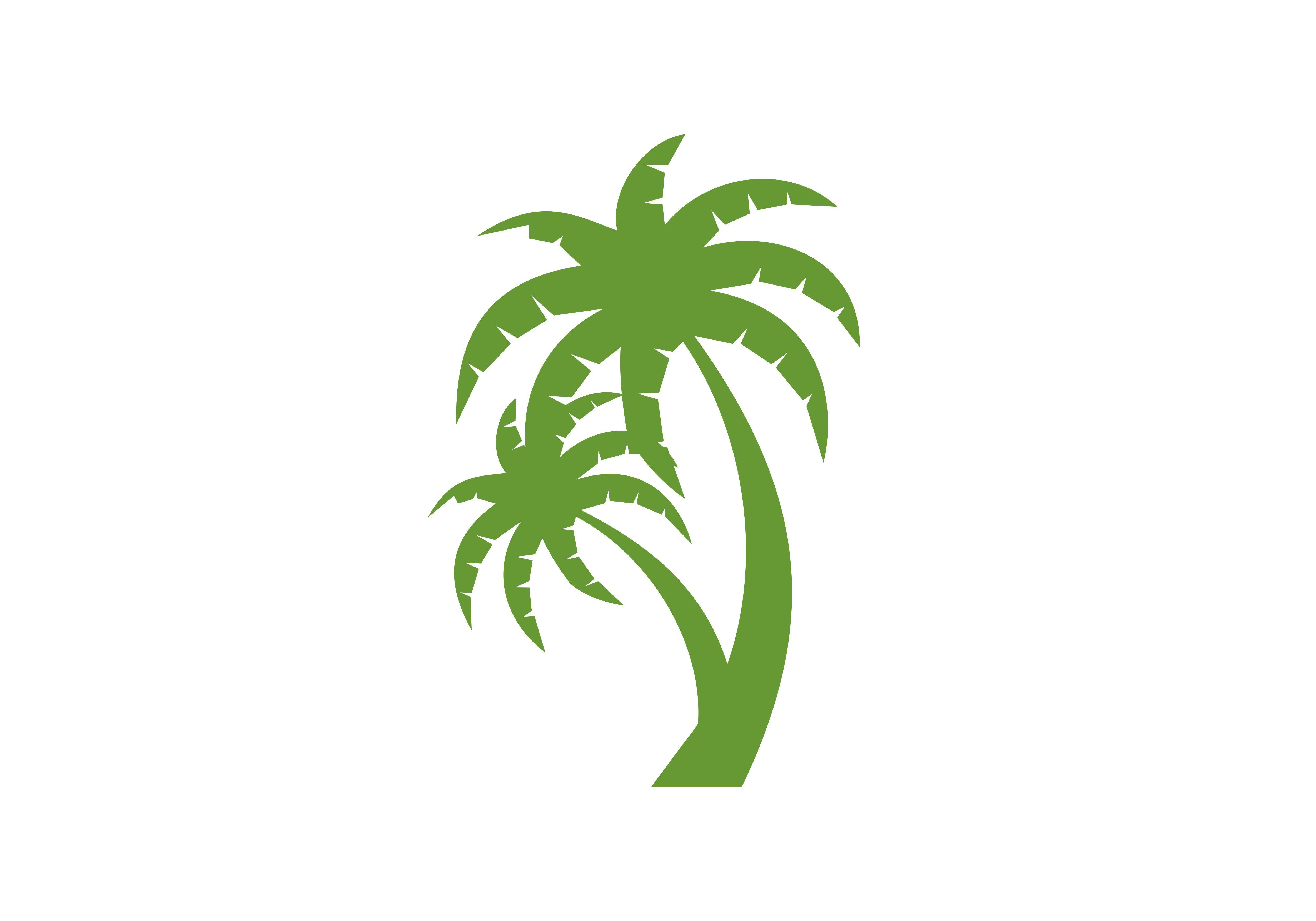 Palm Logo - Palm tree, coconut logo vector