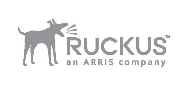 Ruckus Logo - Ruckus Grey Logo