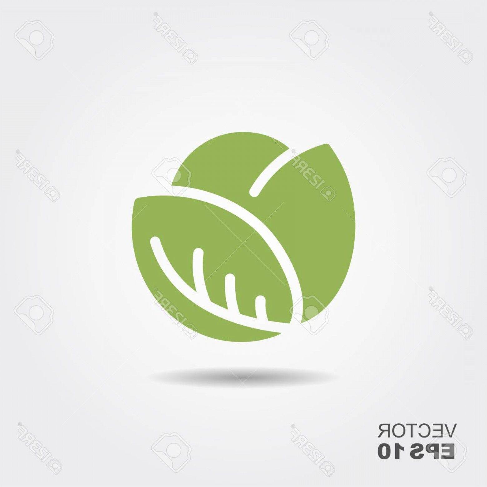 Cabbage Logo - Photostock Vector Cabbage Icon In Flat Style Isolated Object Cabbage ...