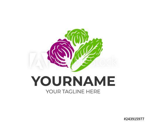 Cabbage Logo - Chinese napa cabbage, white cabbage and red kubis merah, logo design ...