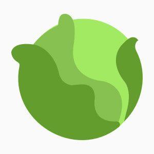 Cabbage Logo - Cabbage (CAB) | CryptoSlate