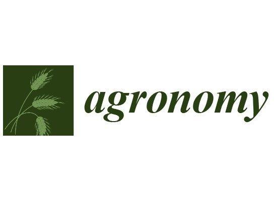 Agronomy Logo - agronomy-logo | CEO Water Mandate