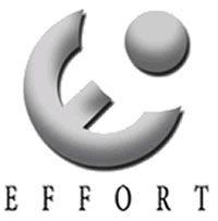 Effort Logo - VESPL | Products