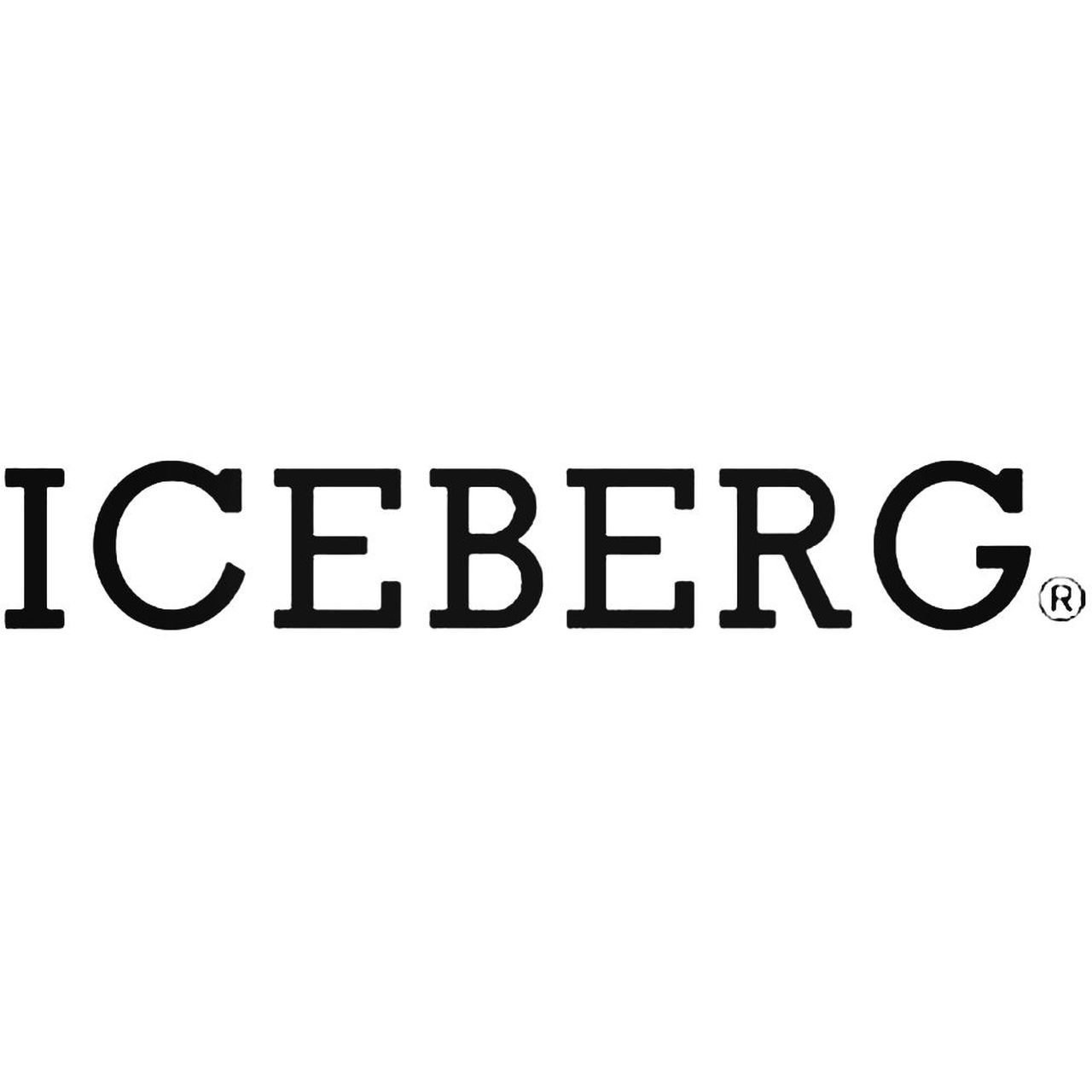 Iceberg Logo - Iceberg Logo Decal Sticker