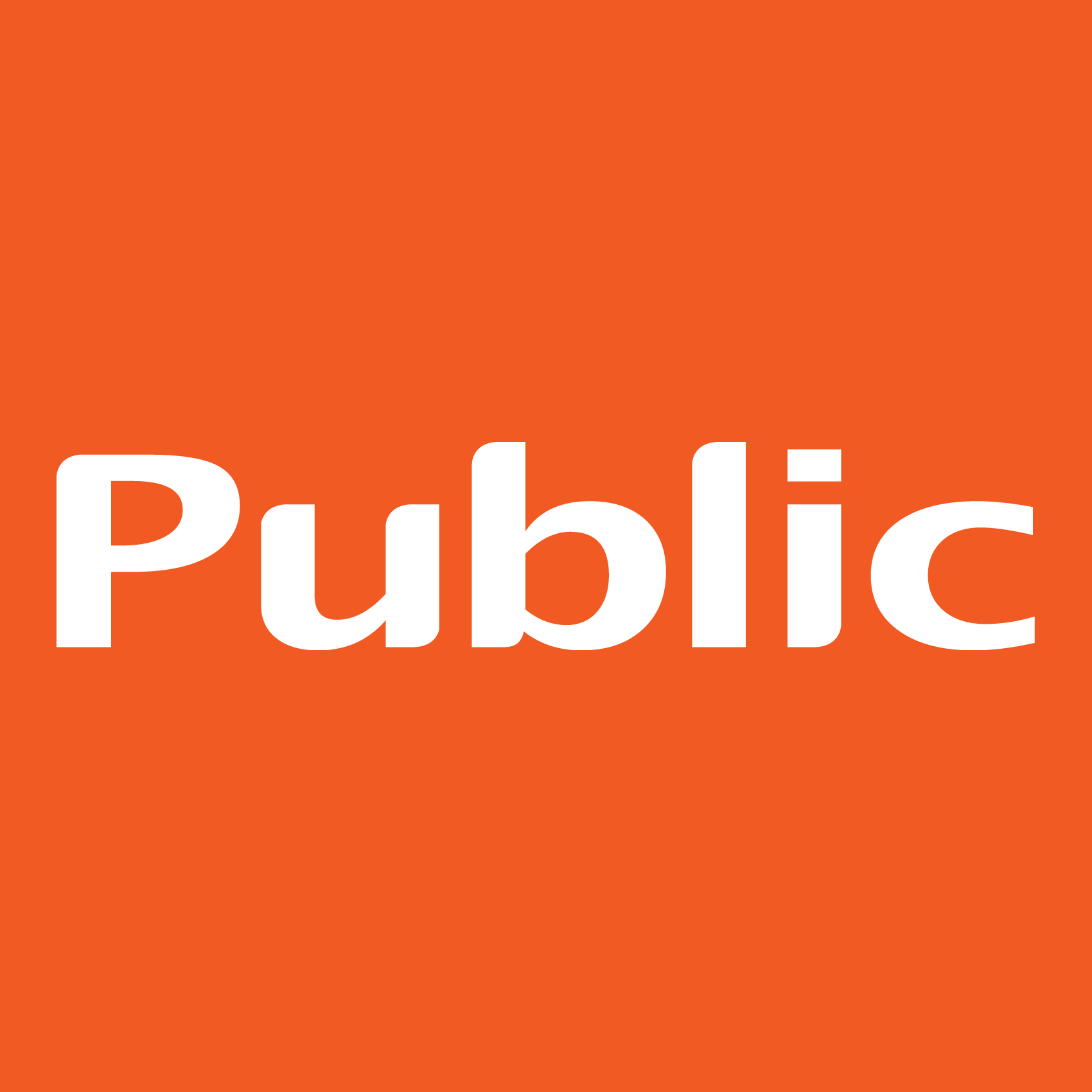 Public Logo - public logo | FDL Group