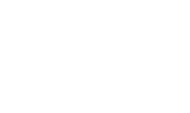 NMSDC Logo - Southern Region MSDC