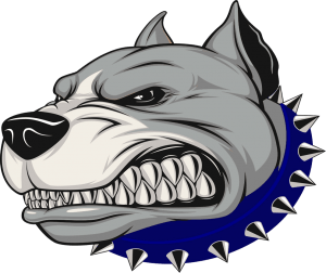 Riverdawgs Logo - Naugatuck Valley Riverdawgs. New England Football League