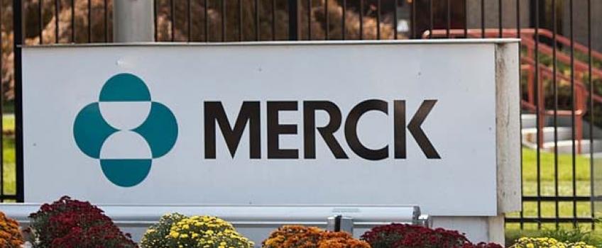 Eisai Logo - Merck & Co hedges its checkpoint bet with Lenvima | Evaluate