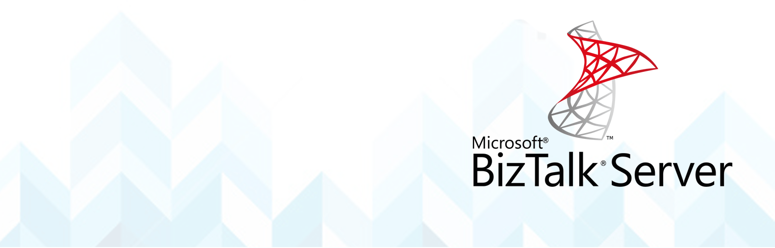 BizTalk Logo - BizTalk - Offerings