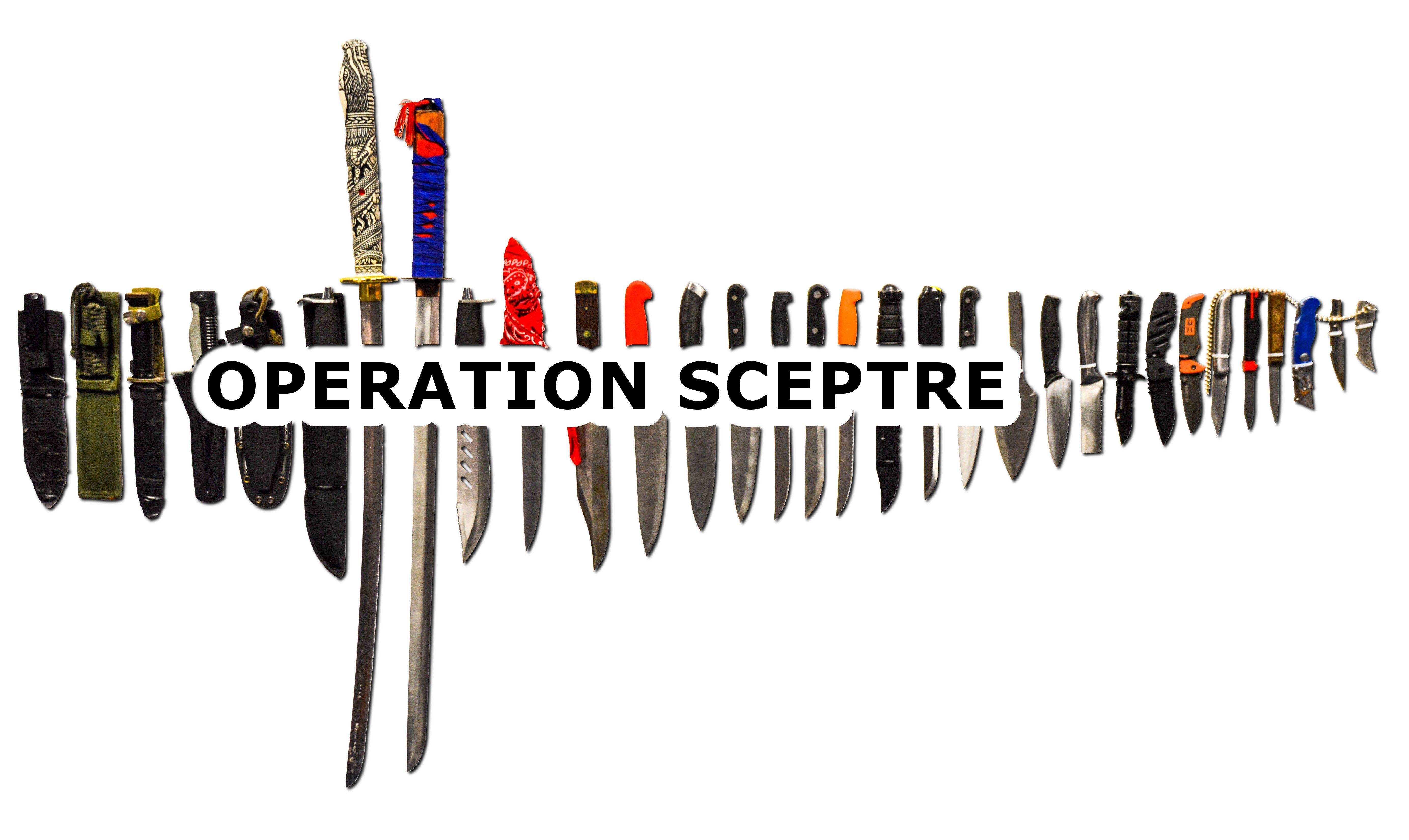 Sceptre Logo - Operation Sceptre – National Knife Surrender 11-17 March 2019 ...