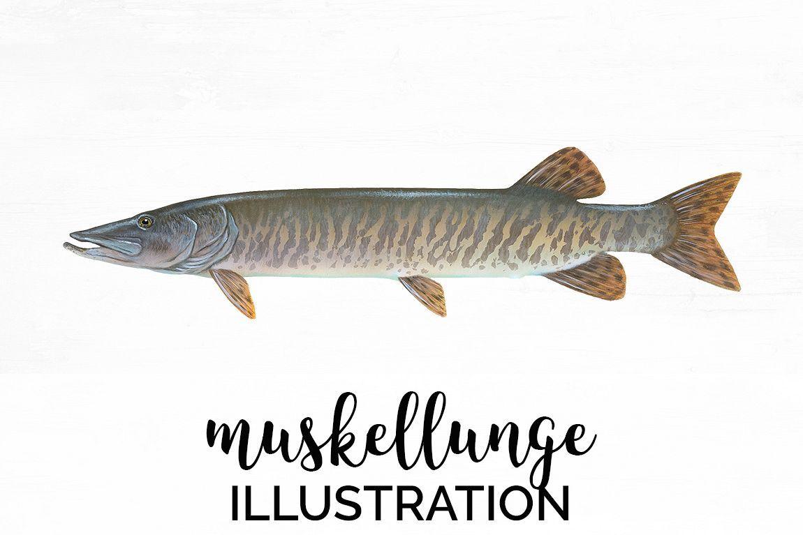 Muskellunge Logo - Fish - Vintage Muskellunge