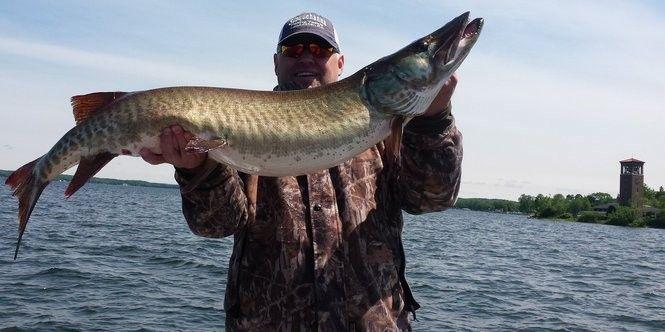 Muskellunge Logo - Muskie fishing on Chautauqua Lake: Expert advice to reel in a big ...