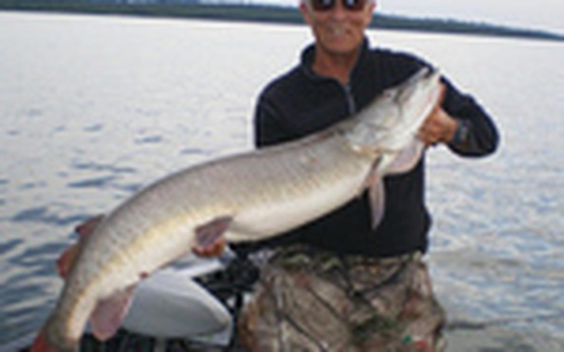 Muskellunge Logo - Muskie fever can lead to 'horrible addiction,' serious anglers say ...