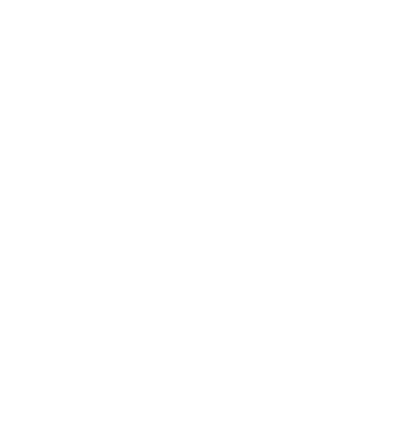 Blake Logo - The Blake After, LLC
