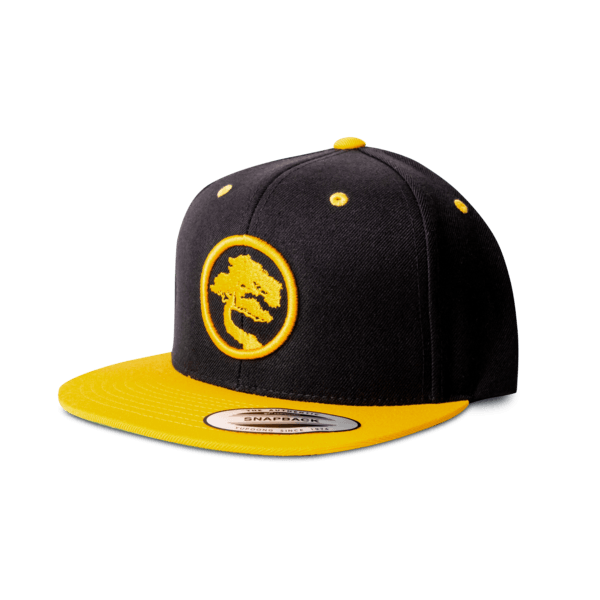 USSD Logo - USSD Logo Snapback Cap