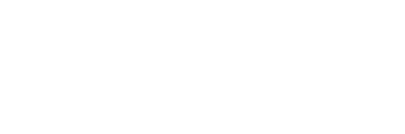 STB Logo - STB T-shirt | STB Fightgear