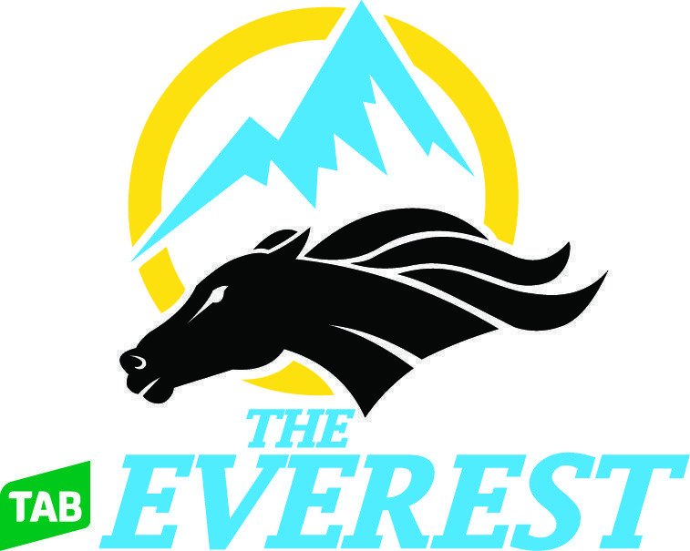 Everest Logo - Everest Logo Colour CMYK