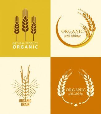 Barley Logo - Barley free vector download (40 Free vector) for commercial use