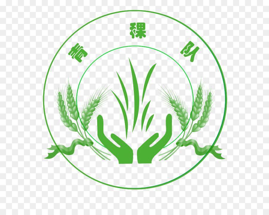 Barley Logo - Barley Plant png download*718 Transparent Barley png