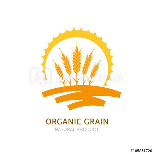 Barley Logo - Wheat, barley, or rye ears, field and sun. Vector logo, label