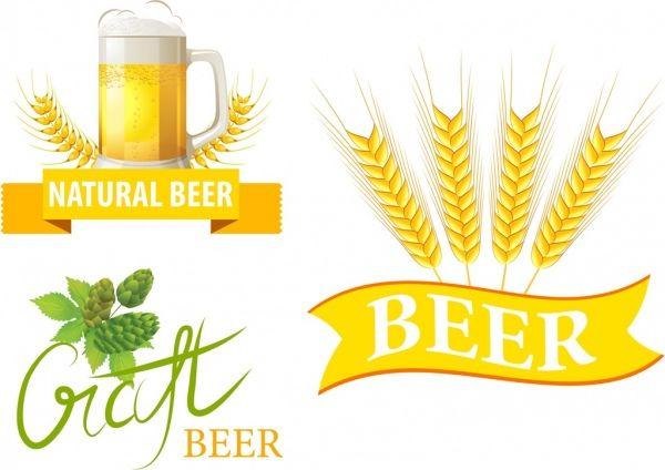 Barley Logo - Beer logo design barley glass ribbon calligraphic decor Free vector