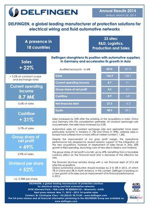 Delfingen Logo - Calaméo - Financial 2014 Eng