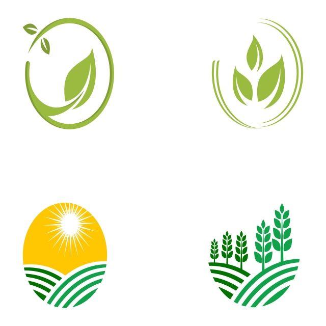 Barley Logo - Agriculture Business Logo Template Unique Green Vector Image