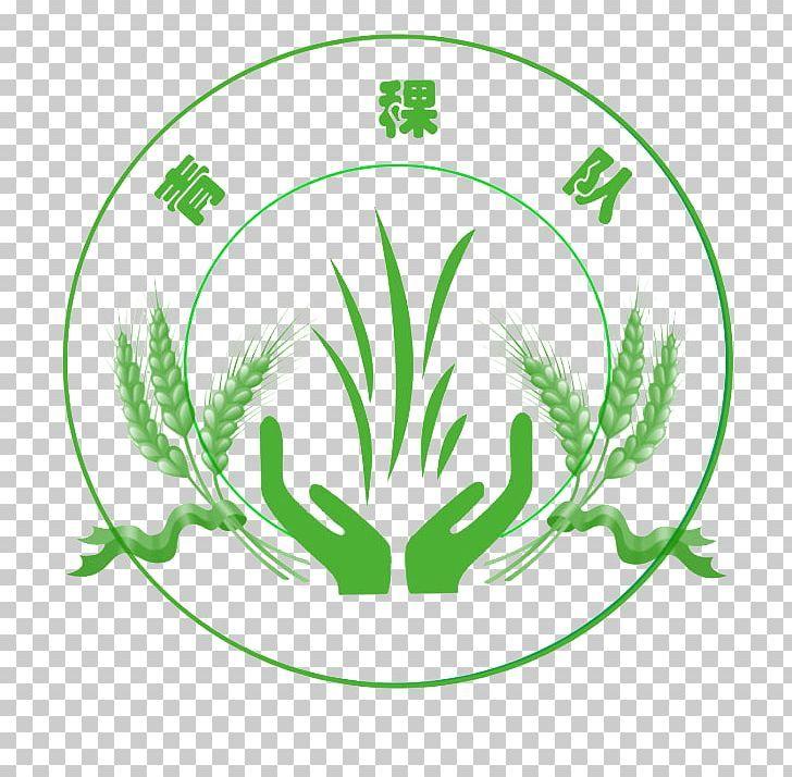 Barley Logo - Barley Logo PNG, Clipart, Barley, Branch, Circle, Clip, Commodity