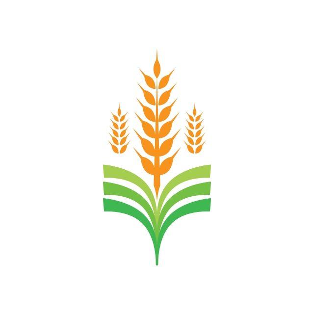 Barley Logo - Agriculture Business Logo Template Unique Green Vector Image