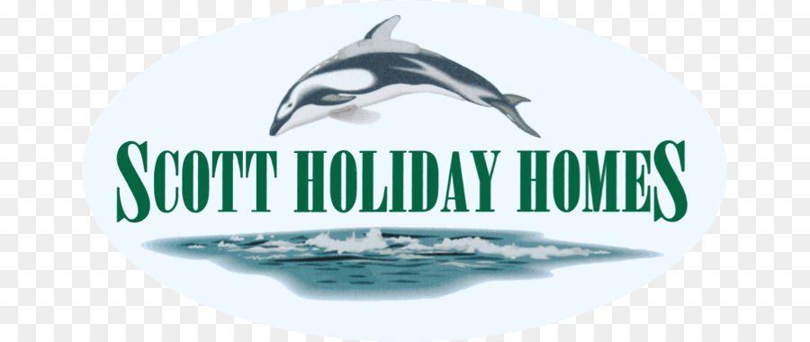 Bottlenose Logo - Common bottlenose dolphin Logo Brand Water png download