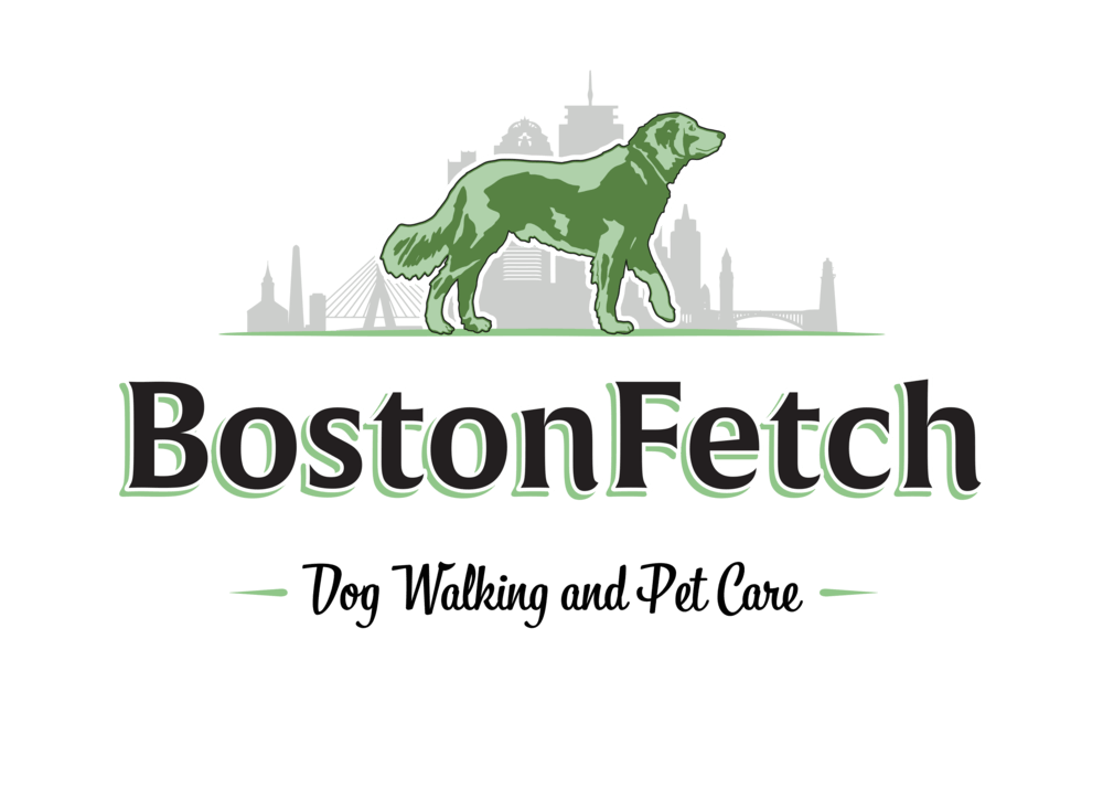 Fetch Logo - Our Logo — Dog Walking, Pet Sitting and Dog Training in Jamaica Plain